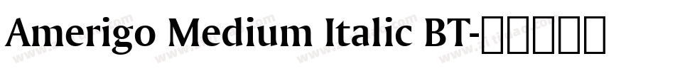 Amerigo Medium Italic BT字体转换